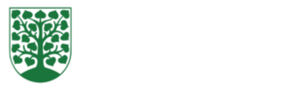 LogoKreisstadt-Homburg3